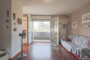 Appartamento a Riccione Viale Campania 3 locali