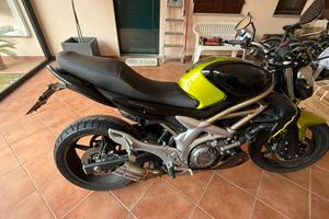 Suzuki Gladius 650