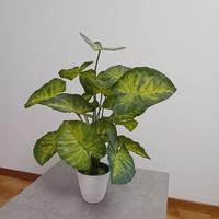 Pianta finta