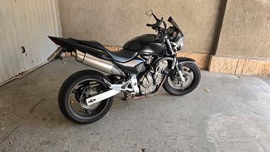 Hornet 600