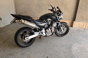 Hornet 600
