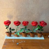 Candele rose
