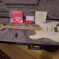 Fender Stratocaster American Performer LTD