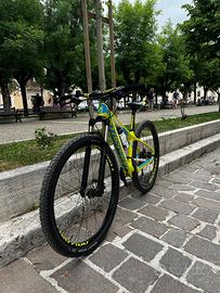 Torpado Ribot Carbon 29” XT MTB Carbonio Taglia M