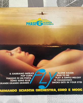 Dischi vinile vintage titoli vari