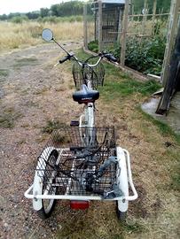 triciclo elettrico 