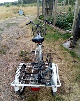 triciclo elettrico 