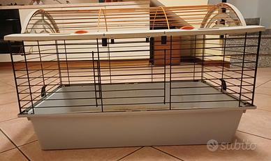 Gabbia conigli