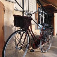 bicicletta holland 26 