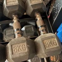 Manubri esagonali gommati 8 kg coppia