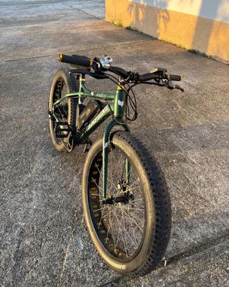 Bici Elettrica Fat Bike