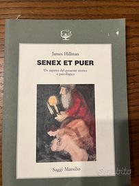 James Hillman, Senex et puer