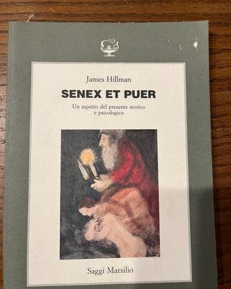 James Hillman, Senex et puer