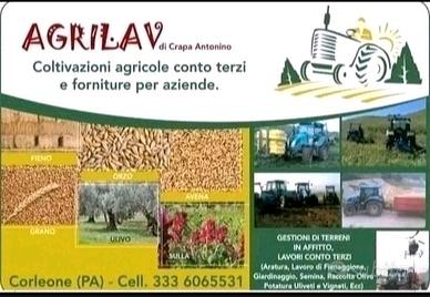 Azienda agricola e lavorazioni agricole a terzi