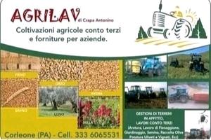 Azienda agricola e lavorazioni agricole a terzi