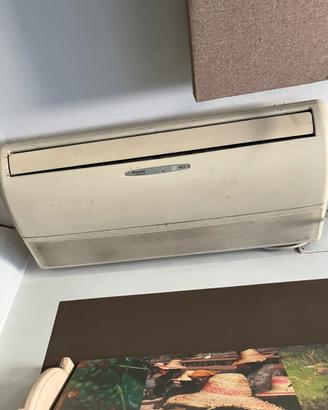 CLIMATIZZATORE INVERTER