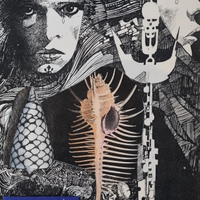 Omaggio a Toppi di G. Gariani - stampe e collage