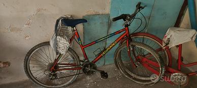 Mountain bike LEGNANO