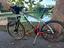 Immagine 1