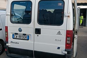 ducato panorama 9 posti