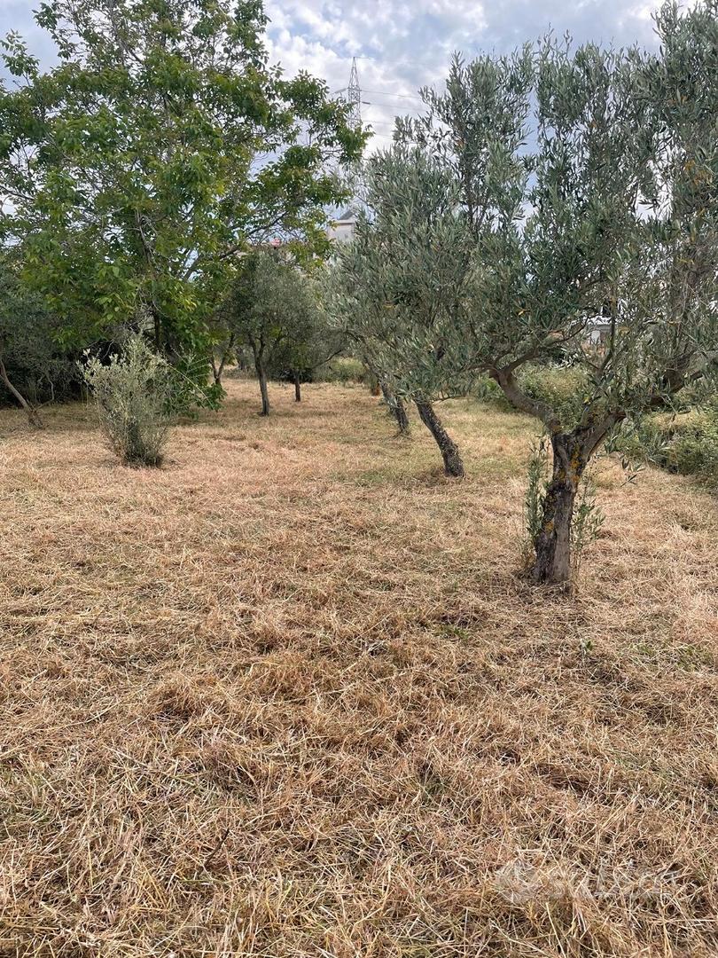 Terreno agricolo .CATTAFI - Vista 2