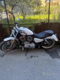 Harley davidson 883
