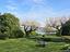 Immagine 10