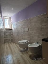 WC sospeso e bidet sospeso bianchi con cassetta