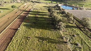 Terreno - Caltagirone