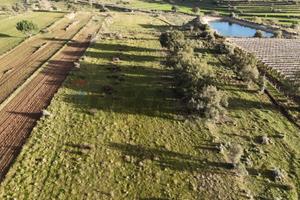 Terreno - Caltagirone