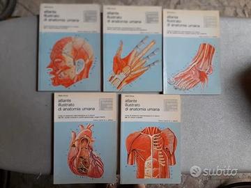 5 PICCOLI VOLUMI ATLANTE ILLUSTRATO ANATOMIA UMANA