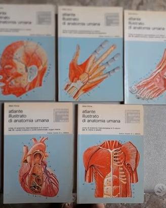 5 PICCOLI VOLUMI ATLANTE ILLUSTRATO ANATOMIA UMANA