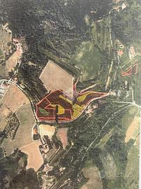 TER. AGRICOLO A BERTINORO