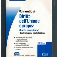 Compendio di Diritto dell'Unione Europea 2007