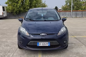 FORD FIESTA NEOPATENTATI
