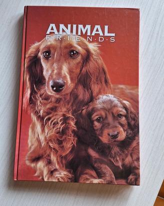 libro quaderno da collezione 