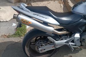 scarico mivv sport line Hornet 600 2003 2006