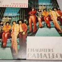 Vinile I magnifici Camaleonti 1973