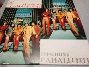 Vinile I magnifici Camaleonti 1973