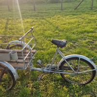 bicicletta da carico