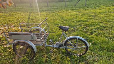 bicicletta da carico