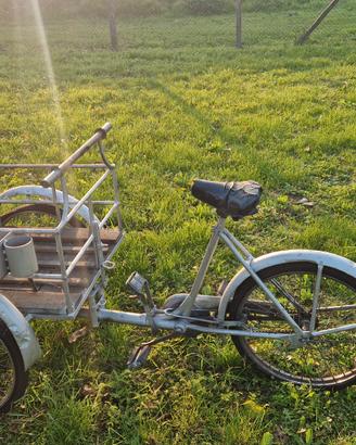 bicicletta da carico