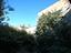 Immagine 19