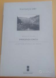 Emergenza idrica - la gestione integrata del risch