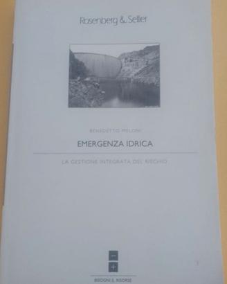 Emergenza idrica - la gestione integrata del risch