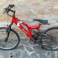 Bici dakar regina