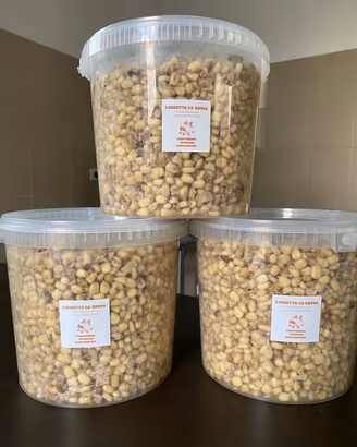 Pasturazione carpfishing