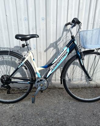 city bike jumpertrek 28"