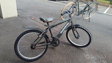 Bici Saltafoss