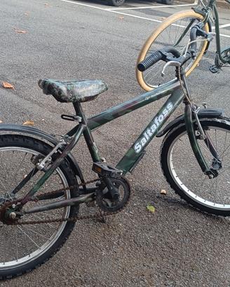 Bici Saltafoss